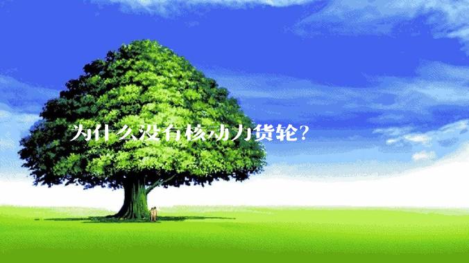 为什么没有核动力货轮？