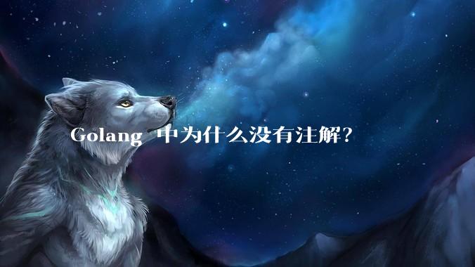 Golang 中为什么没有注解？