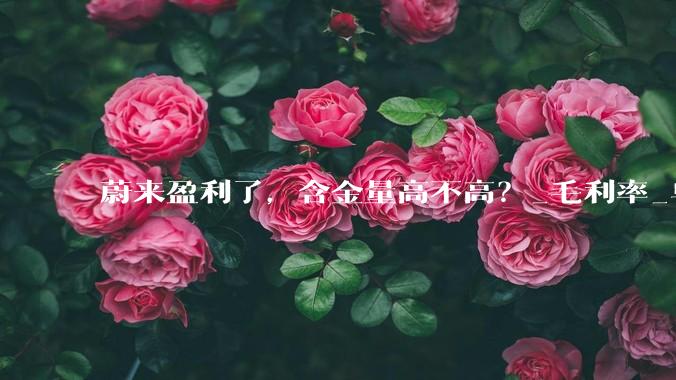 蔚来盈利了，含金量高不高？_毛利率_单车_代闪充