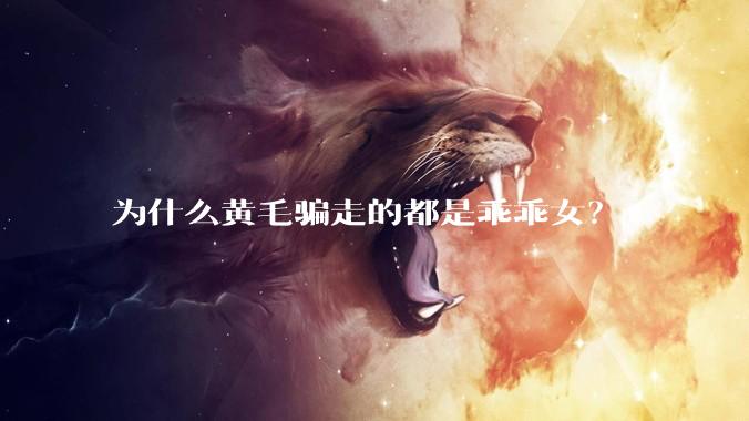 为什么黄毛骗走的都是乖乖女？