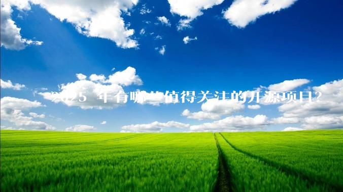 2025 年有哪些值得关注的开源项目？