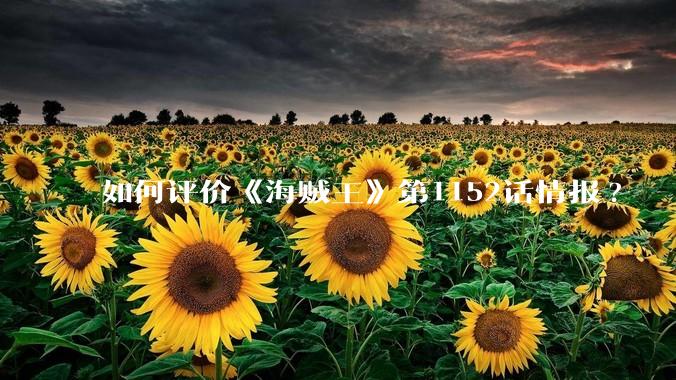 如何评价《海贼王》第1152话情报?