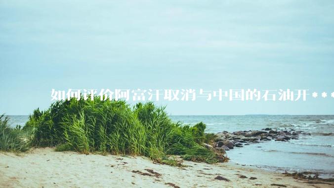 如何评价阿富汗取消与中国的石油开***合同？