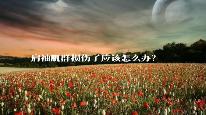 肩袖肌群损伤了应该怎么办？